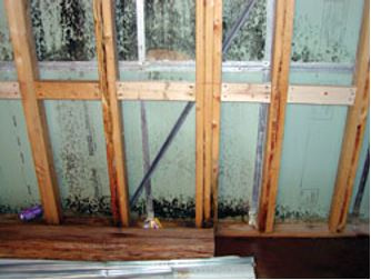 What Causes Bathroom Mold?  McMahon Services Construction