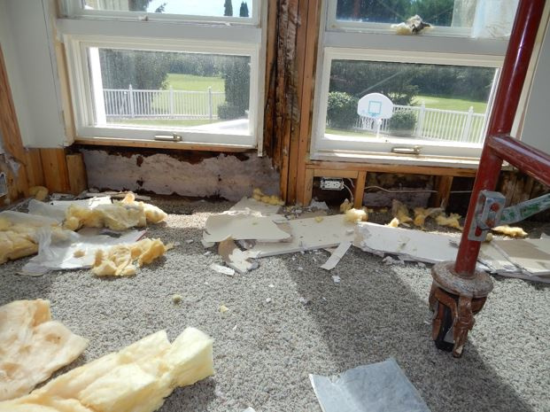 OSB and sheathing performance photo