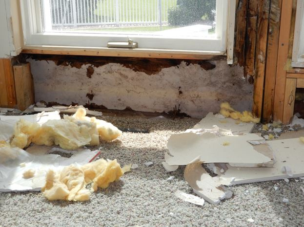 OSB and sheathing performance photo