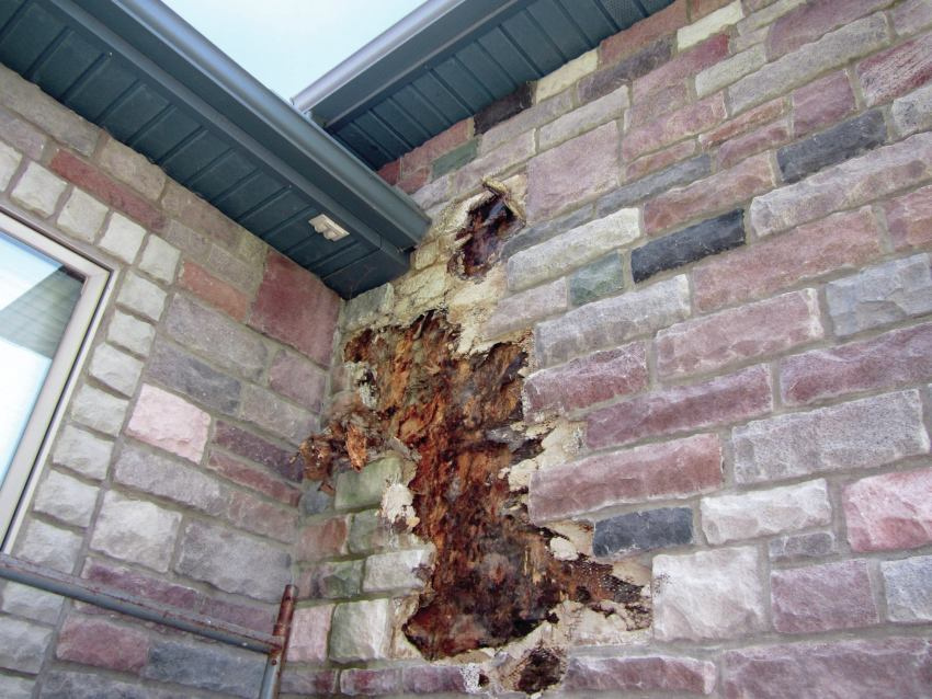 OSB and sheathing performance photo